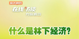 在線訪談丨什么是林下經濟？